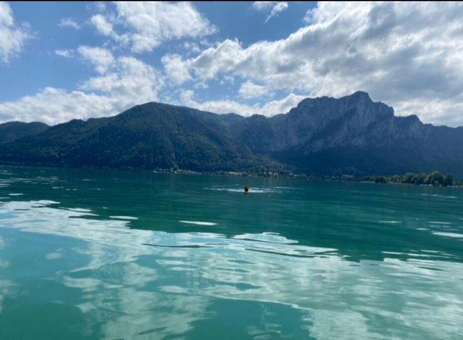 Die Feelgood-Wohnung Am Mondsee Exterior foto